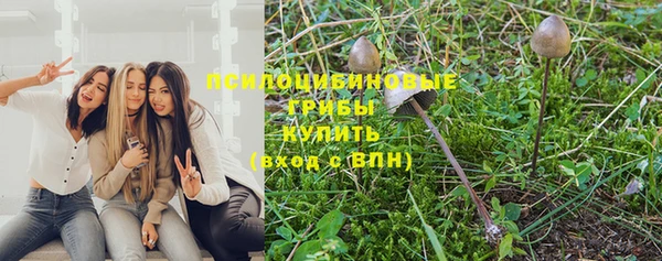 spice Волоколамск